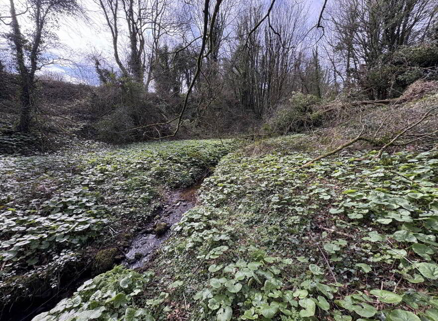 Spa House, Spa Road, Kilfinane, Kilmallock