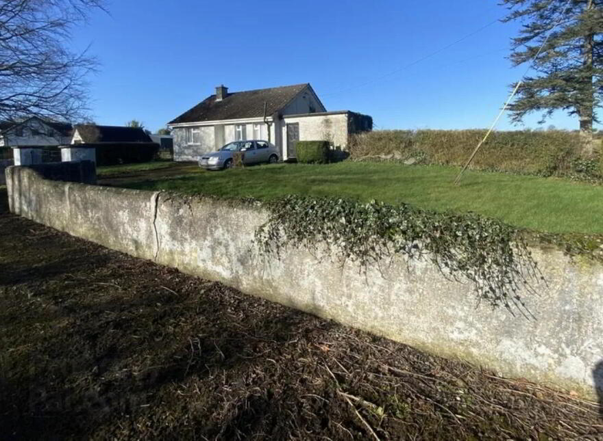 Ballyhealy, Delvin, N91KP78 photo