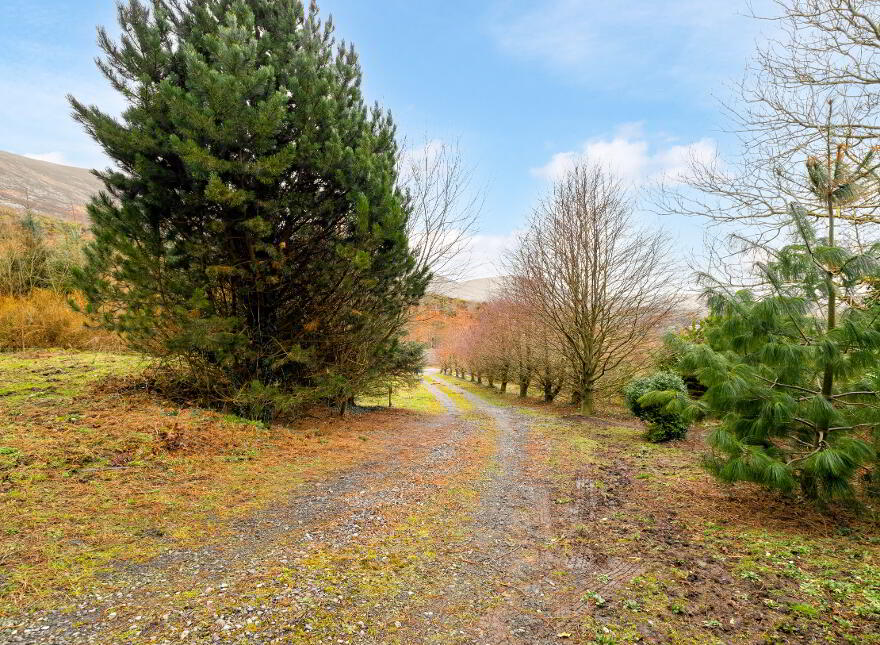 Walshestown, Ballymurphy, Borris, R95VP89