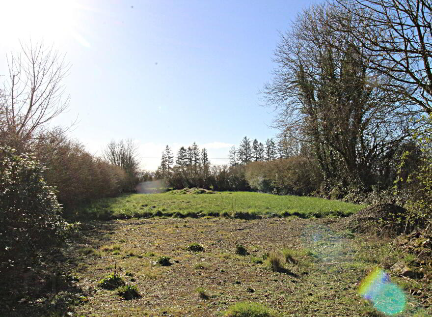 Lyrattin, Ballinamult