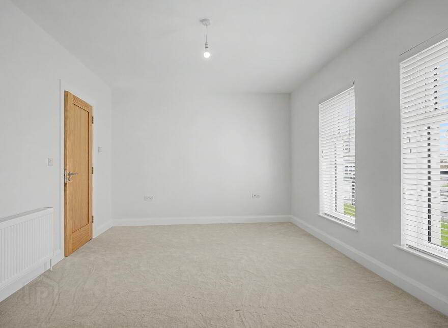 The Salus, Camowen Avenue, Hospital Road, Omagh