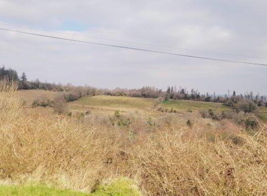 Curraun, Kiltyclogher, F91DV20