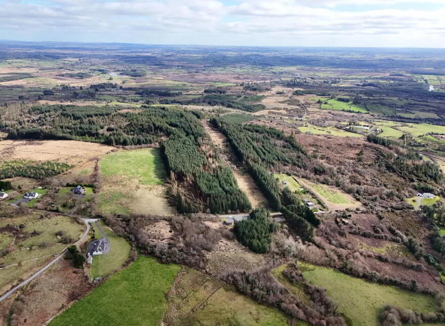 Callow, Foxford