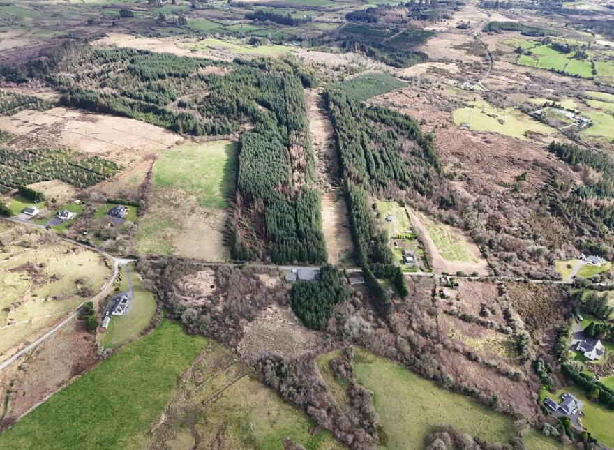 Callow, Foxford