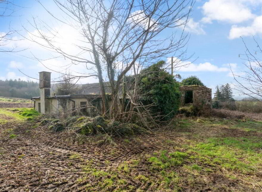 Callow, Foxford