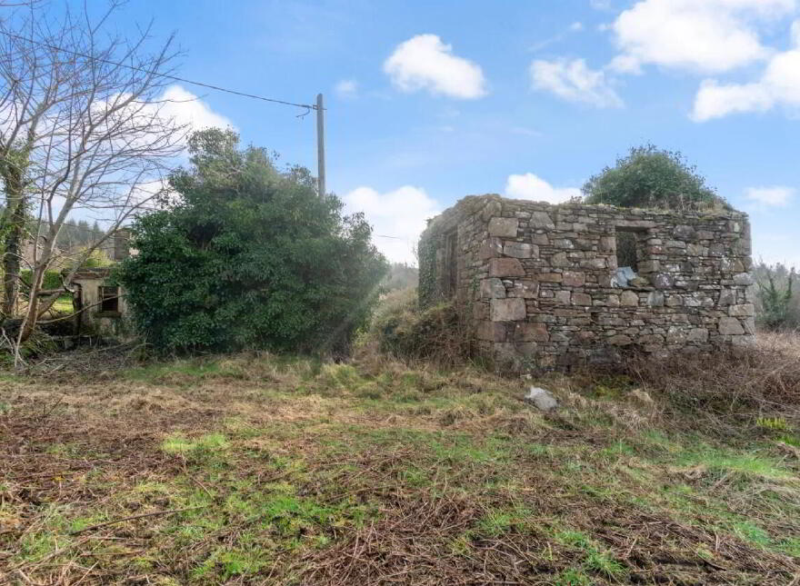 Callow, Foxford