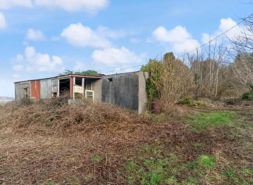 Callow, Foxford