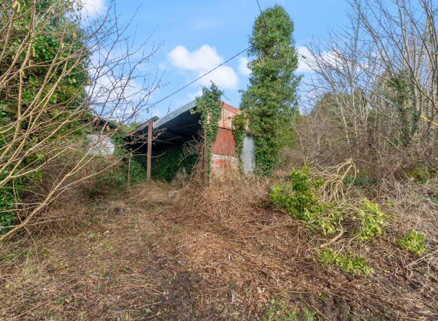 Callow, Foxford