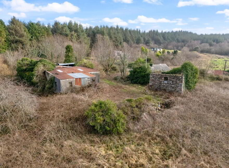 Callow, Foxford