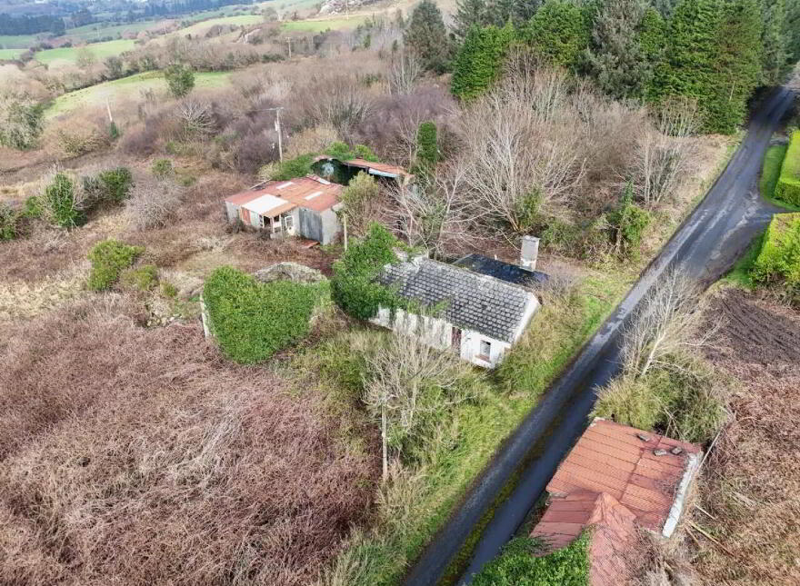 Callow, Foxford