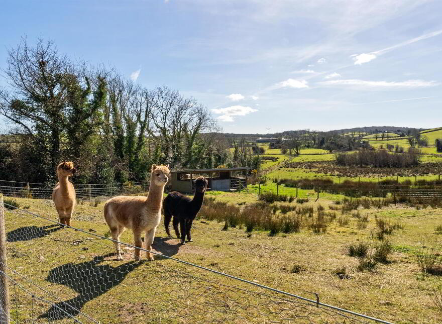 39 Cherryhill Road, Ballynahinch, BT24 8NW