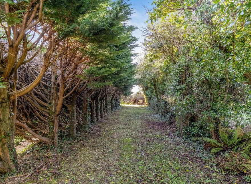 Beaulieu Cross, Drogheda, A92HY44