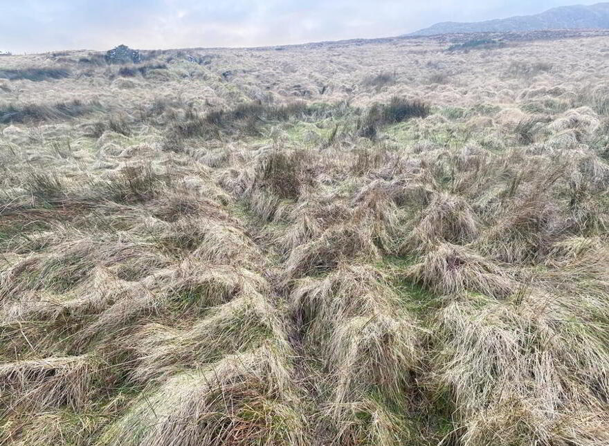 Balbane, Killybegs, Donegal