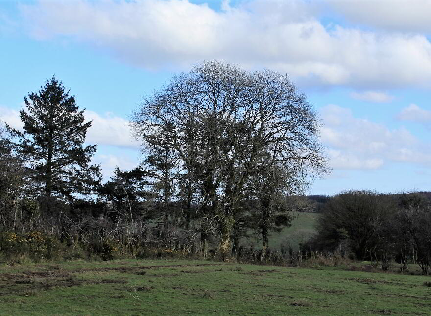 Latbeg, Clogher, BT76 0DP