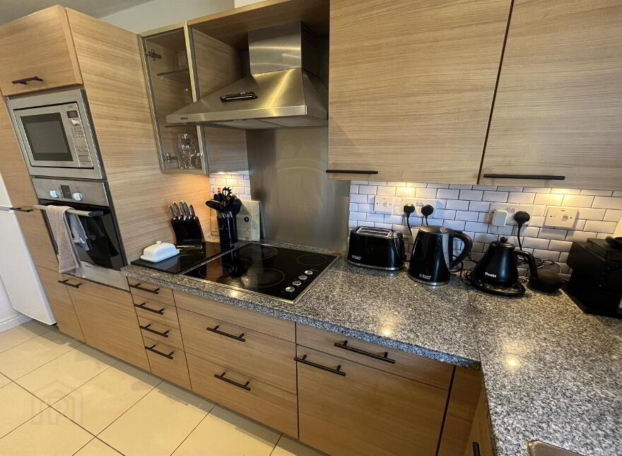 Apt 17 River House, 21 The Boulevard, Belfast, BT7 3LN