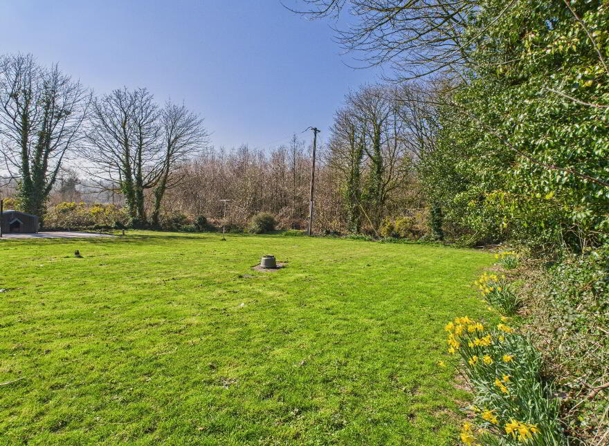 Holly Cottage, Ballygiblin, Mitchelstown, P67W449