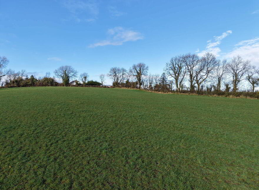 Cormaddyduff, Virginia