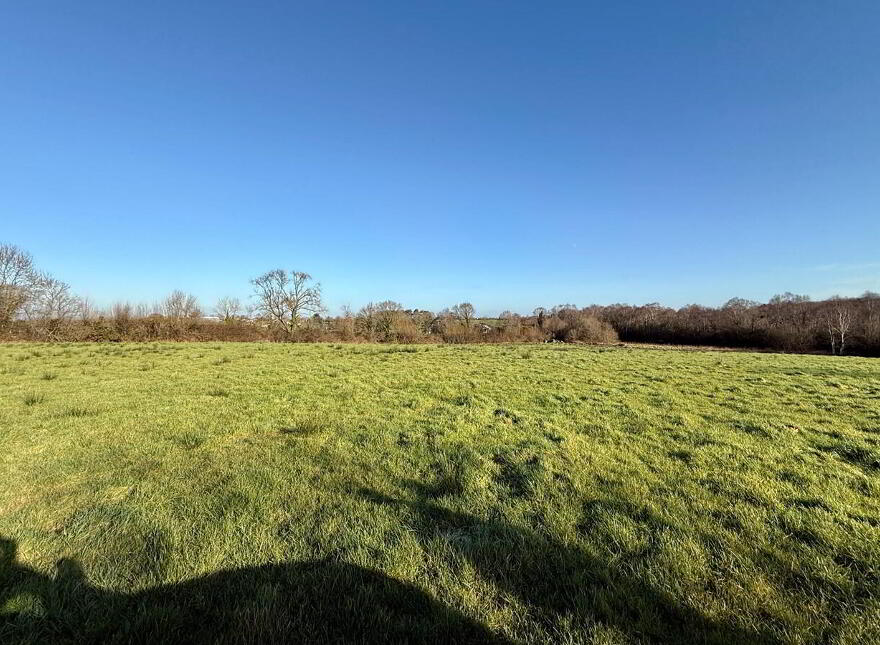 C. 4.4 Acres Behind, 55 Derrylee Road, Dungannon, BT71 6NS