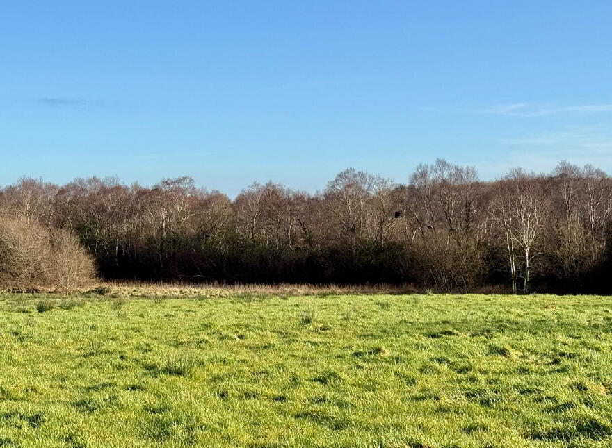 C. 4.4 Acres Behind, 55 Derrylee Road, Dungannon, BT71 6NS