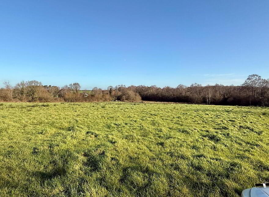 C. 4.4 Acres Behind, 55 Derrylee Road, Dungannon, BT71 6NS