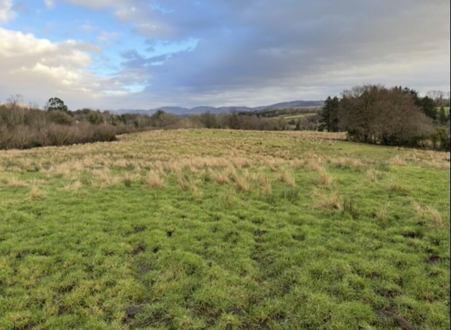 Drummeenanagh, Donegal Town