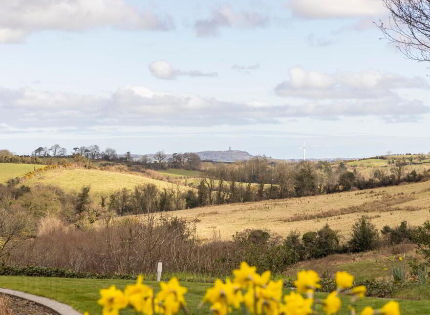 Robinsview, 94a Monlough Road, Saintfield, Ballynahinch, BT24 7HN