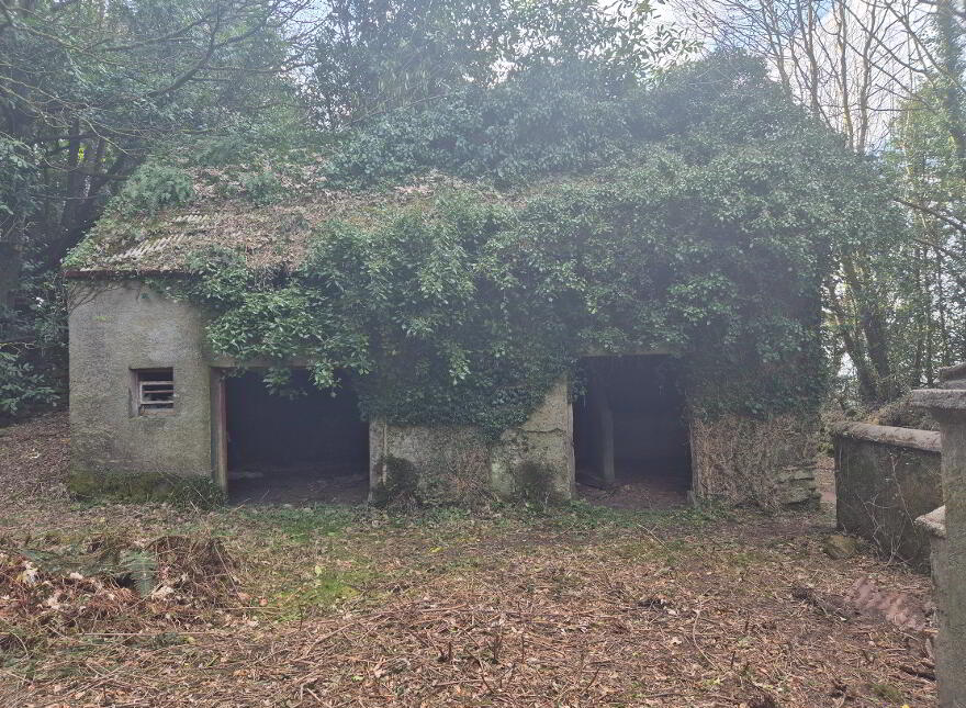 Crannagh, Borris