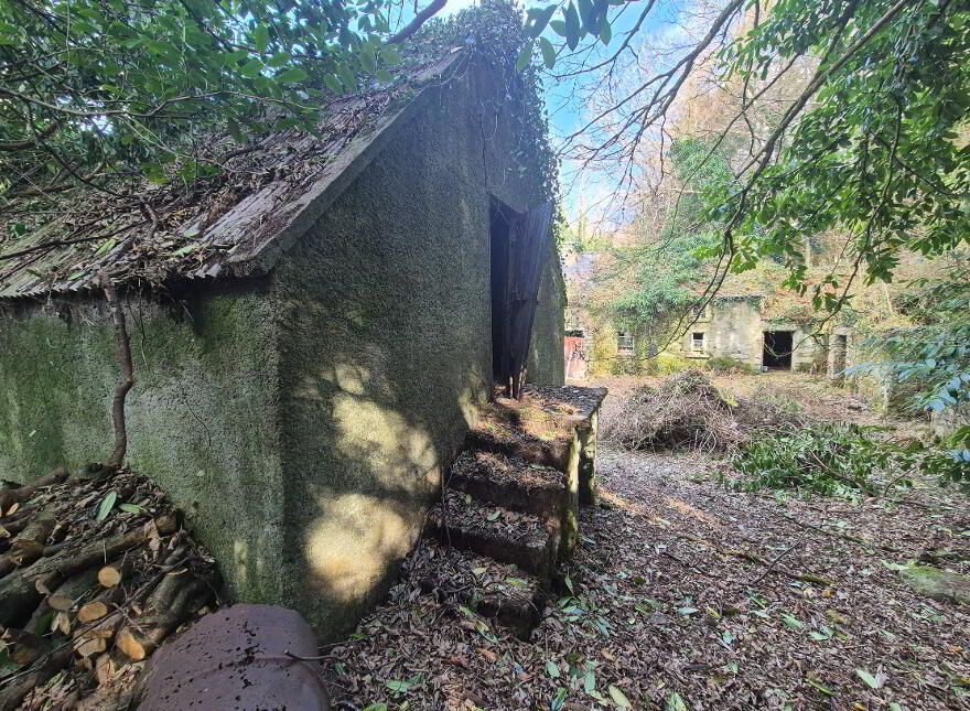 Crannagh, Borris