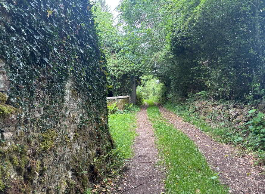 Crannagh, Borris
