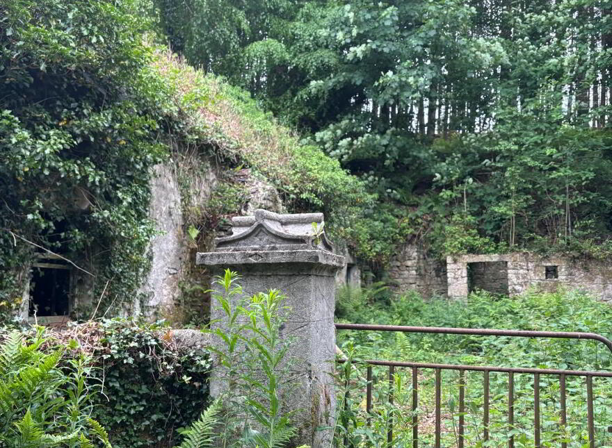 Crannagh, Borris
