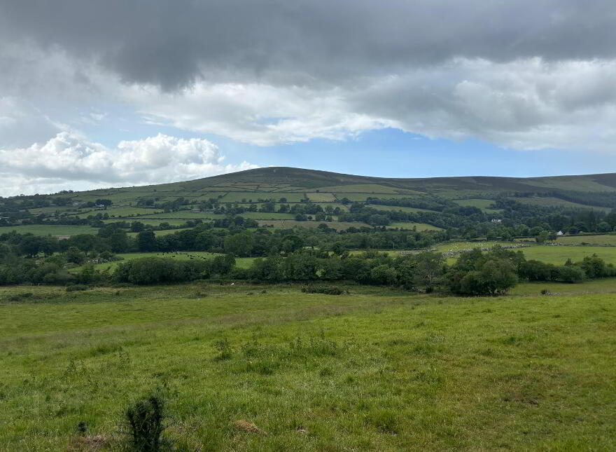 Crannagh, Borris