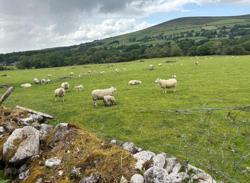 Crannagh, Borris