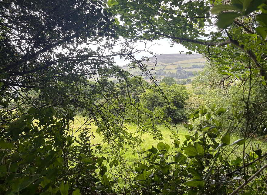 Crannagh, Borris