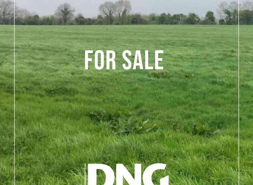 C.6 Acres At Boggan, Kells photo
