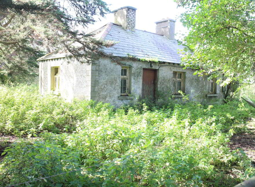 Endrim, Ferbane