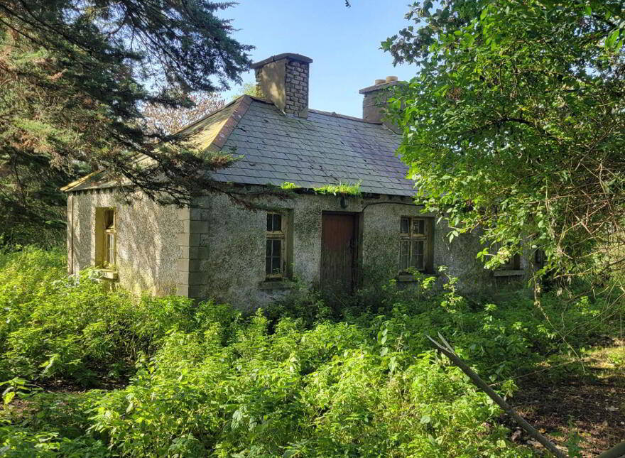 Endrim, Ferbane