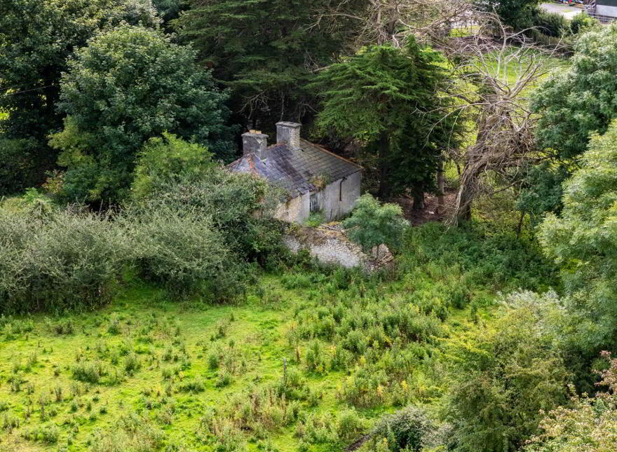 Endrim, Ferbane