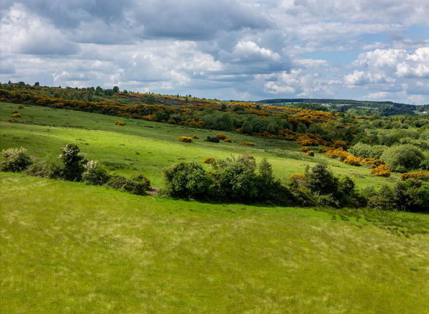 Glebe, Clonaslee