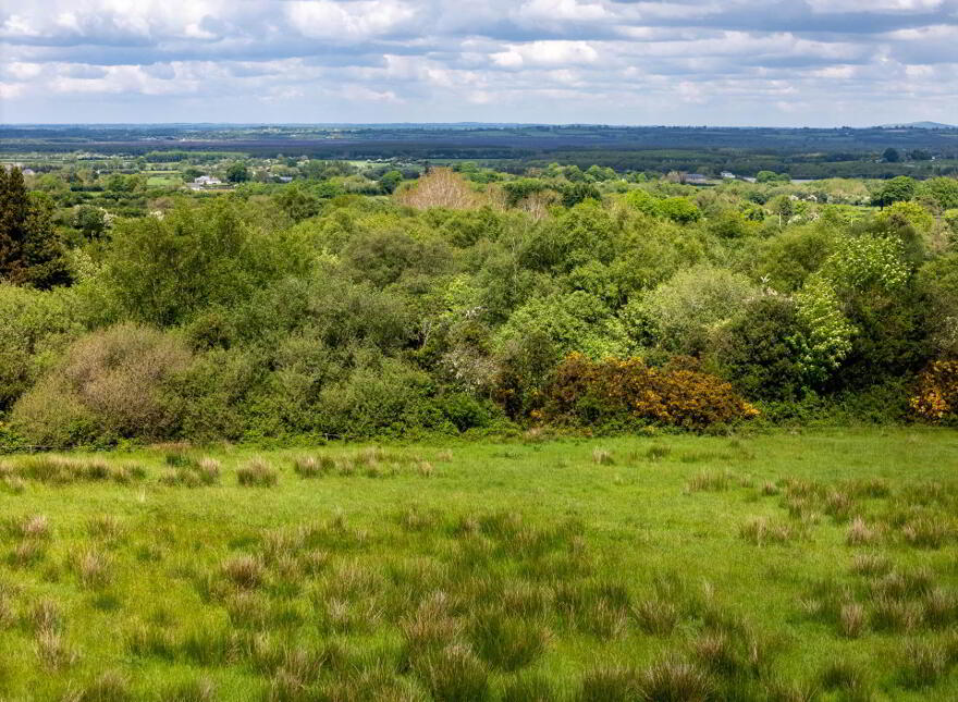 Glebe, Clonaslee