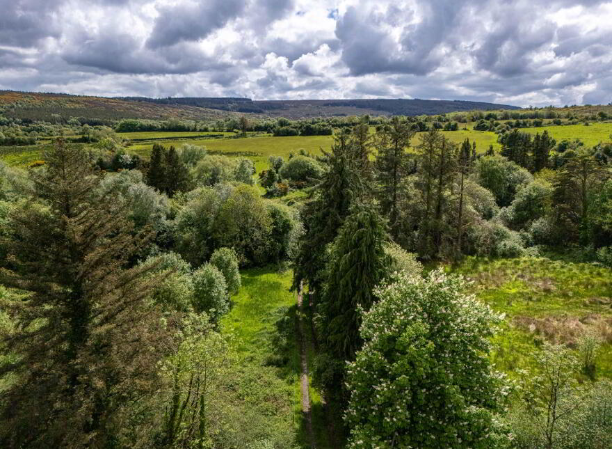 Glebe, Clonaslee