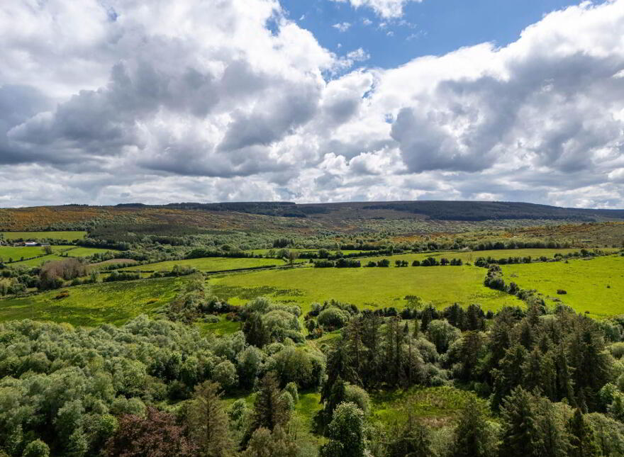 Glebe, Clonaslee