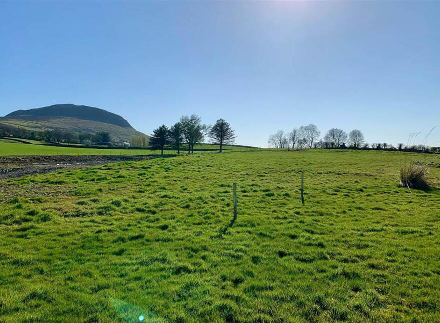 Site Adjacent To, 58 Shillanavogy Road, Broughshane, Ballymena