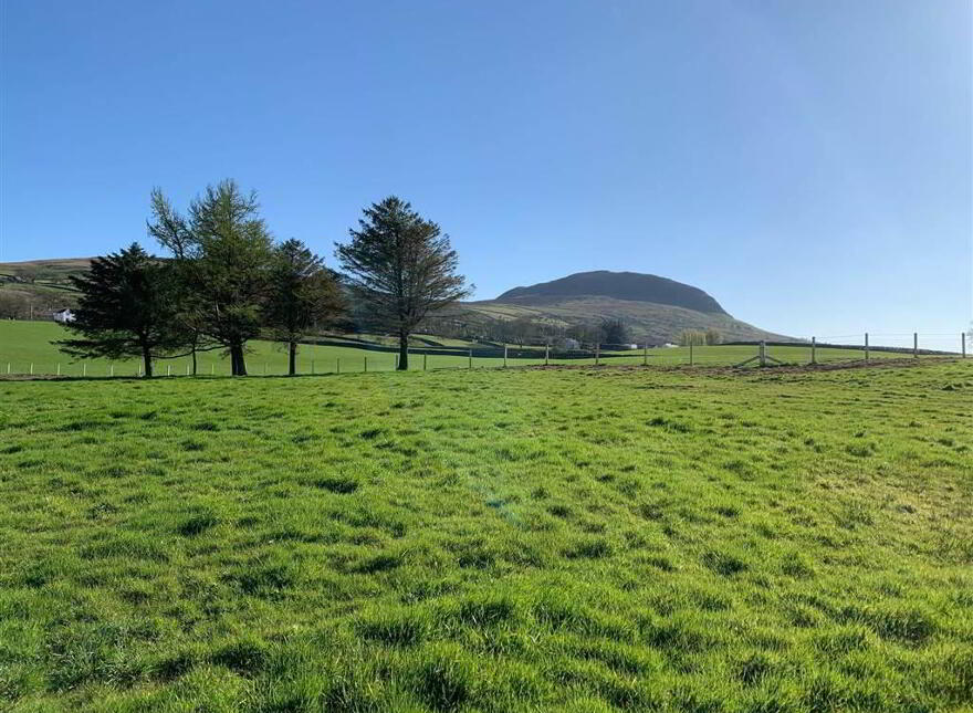 Site Adjacent To, 58 Shillanavogy Road, Broughshane, Ballymena