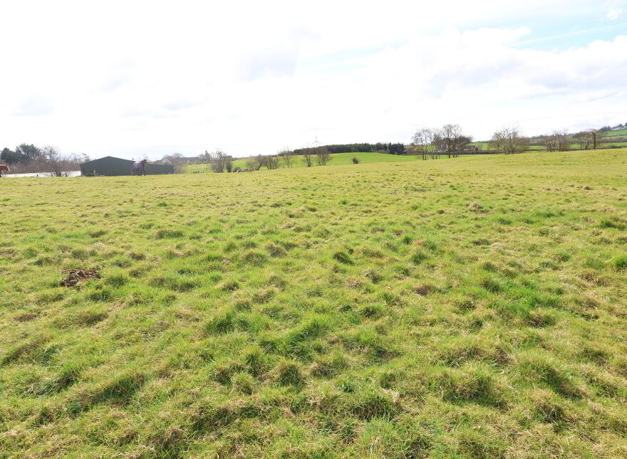 16 Dungororan Road, Pomeroy, BT70 3EQ
