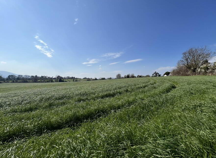 Lands, At, Ardfinnan