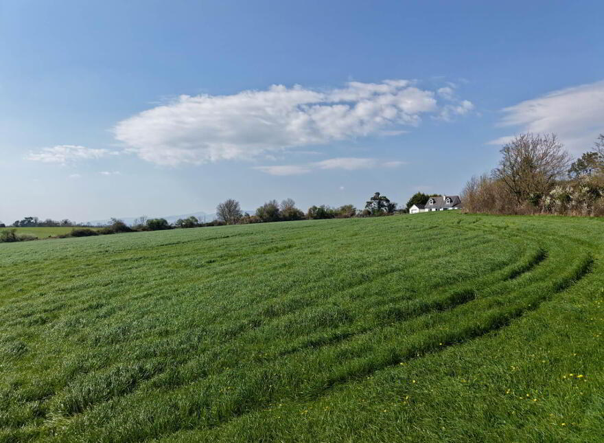 Lands, At, Ardfinnan