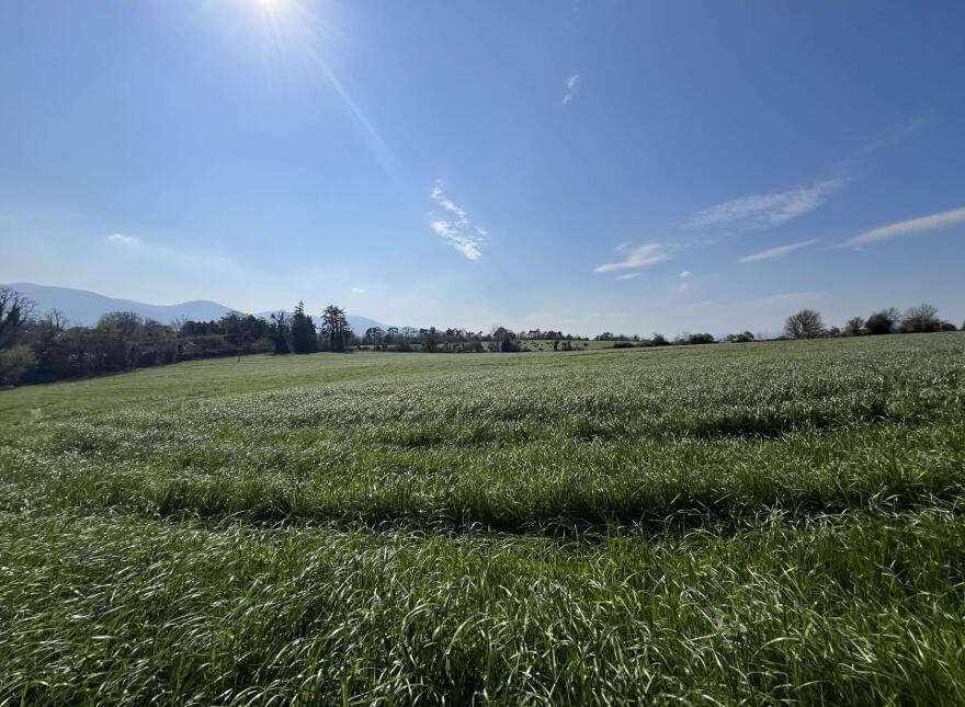 Lands, At, Ardfinnan