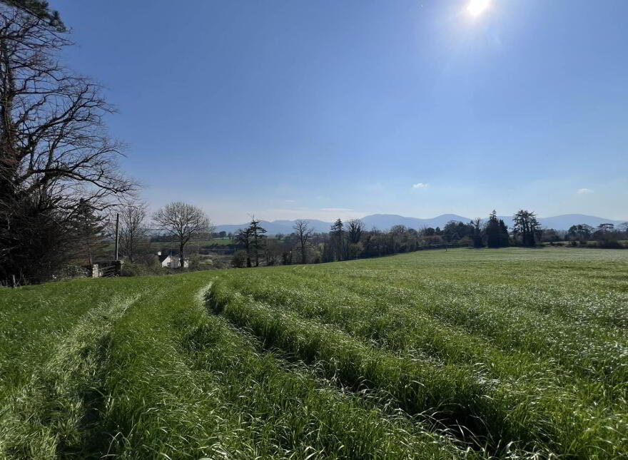 Lands, At, Ardfinnan