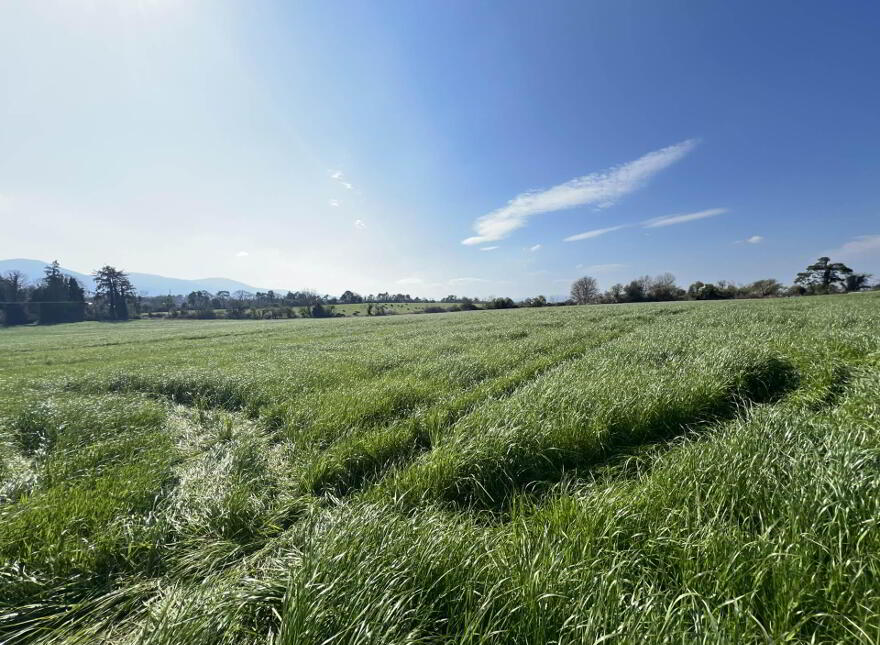 Lands, At, Ardfinnan