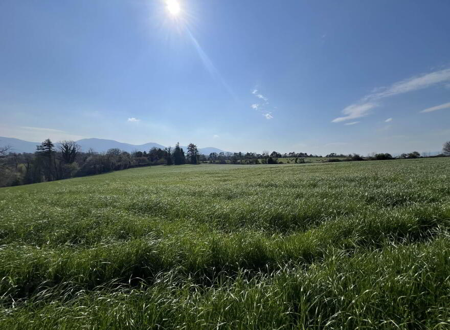 Lands, At, Ardfinnan